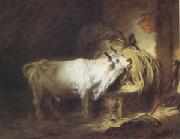Jean Honore Fragonard The White Bull (mk05) china oil painting artist